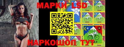 гашик Новоалтайск