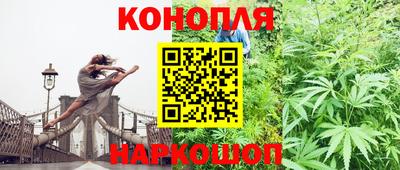 гашик Новоалтайск