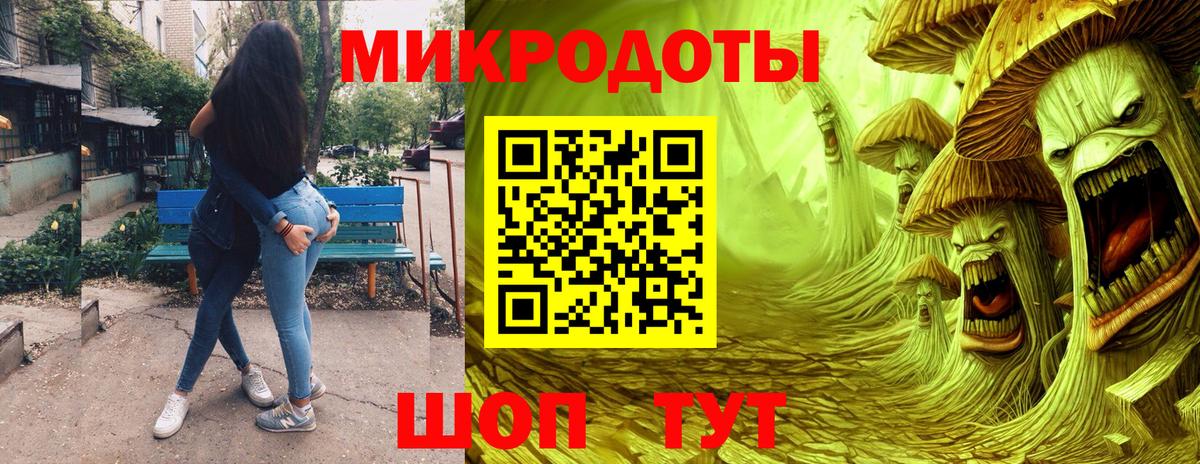 Псилоцибиновые грибы Psilocybe Сафоново